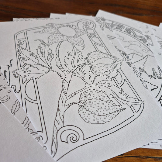 10 fargeleggingsark, A5